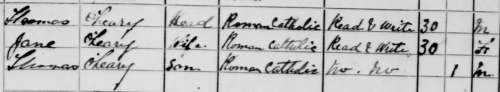 1901 census return for the O'Leary family